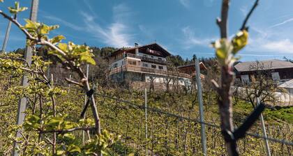 Appartement de vacances "Malgorerhof Mathilde" avec vue sur les montagnes, Wi-Fi et balcon