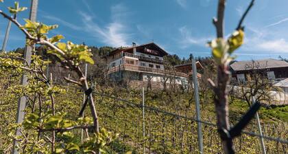 Appartement de vacances "Malgorerhof Mathilde" avec vue sur les montagnes, Wi-Fi et balcon