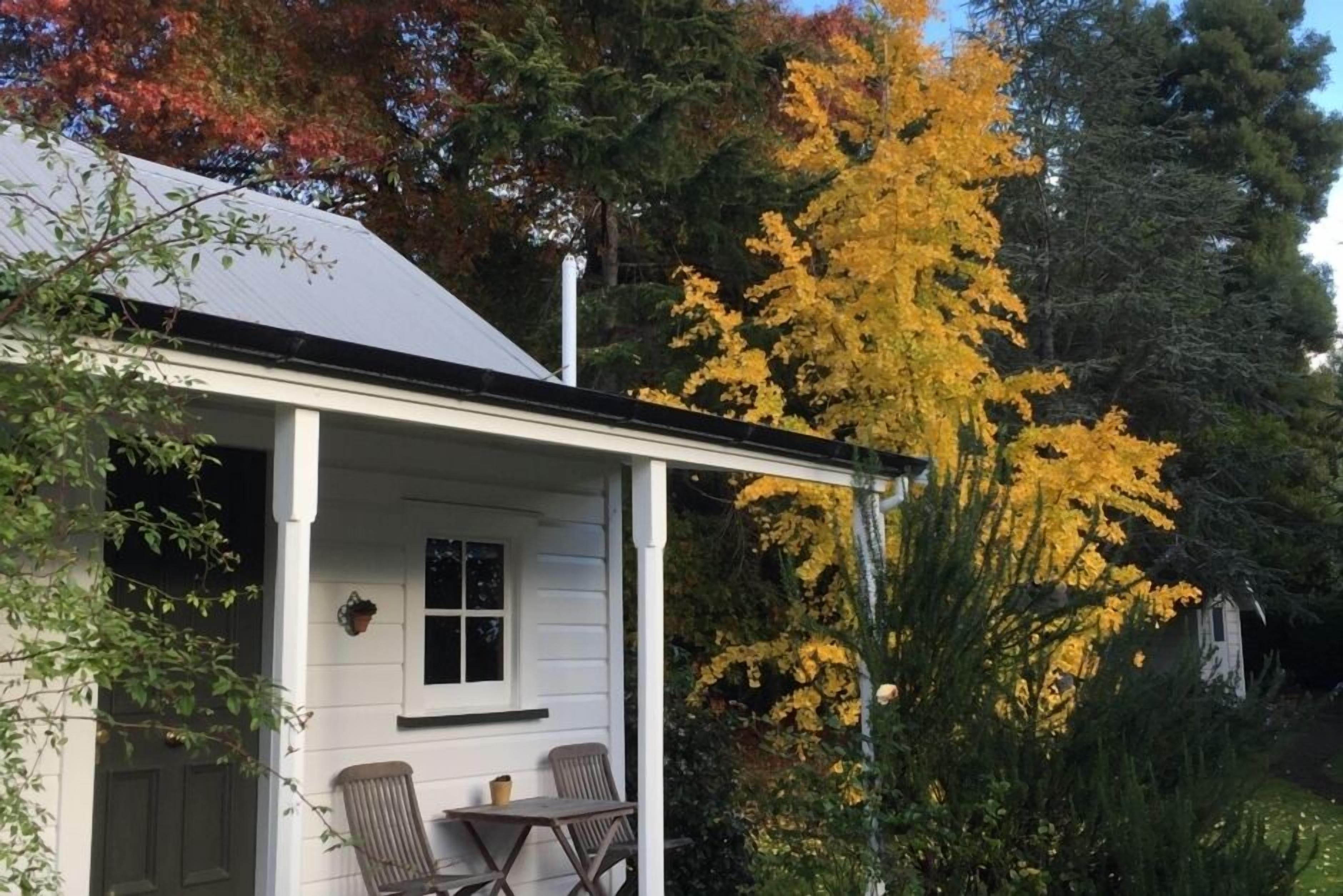 Autumn colours