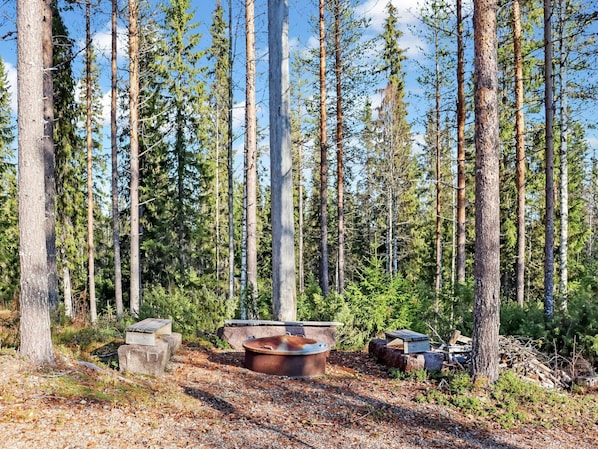 Property grounds - Miilumaja b1 by Interhome (Puolanka)