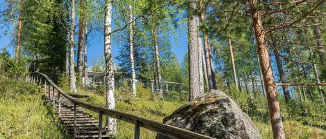 Áreas de la propiedad