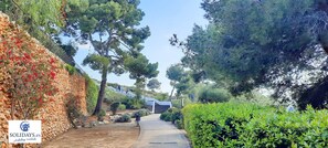 Áreas de la propiedad