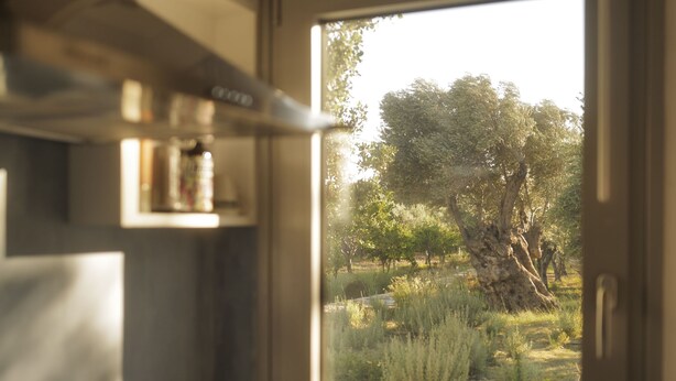 A kitchen with a window view of a garden.