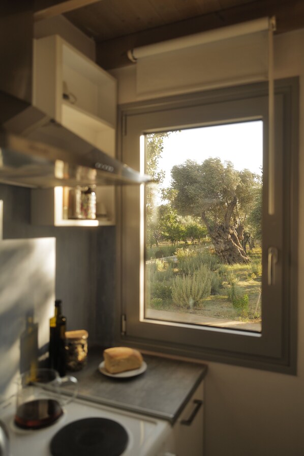Fridge, oven