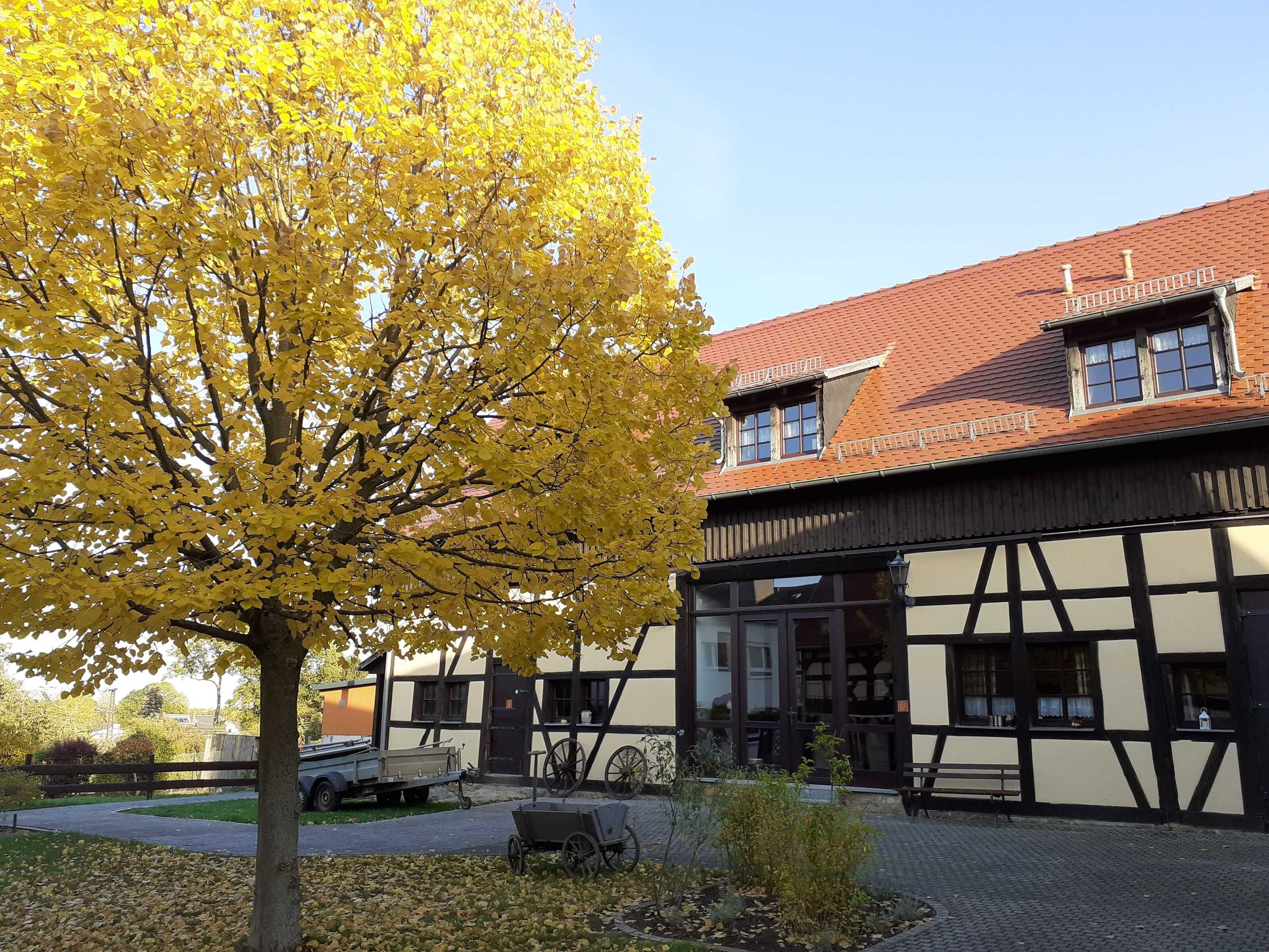 A traditional building with a gabled roof and a large tree with yellow leaves in the foreground.