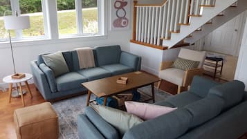 Älytelevisio, Netflix, DVD-soitin, kirjoja