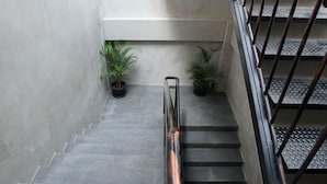 A staircase with metal railings and potted plants at the bottom.
