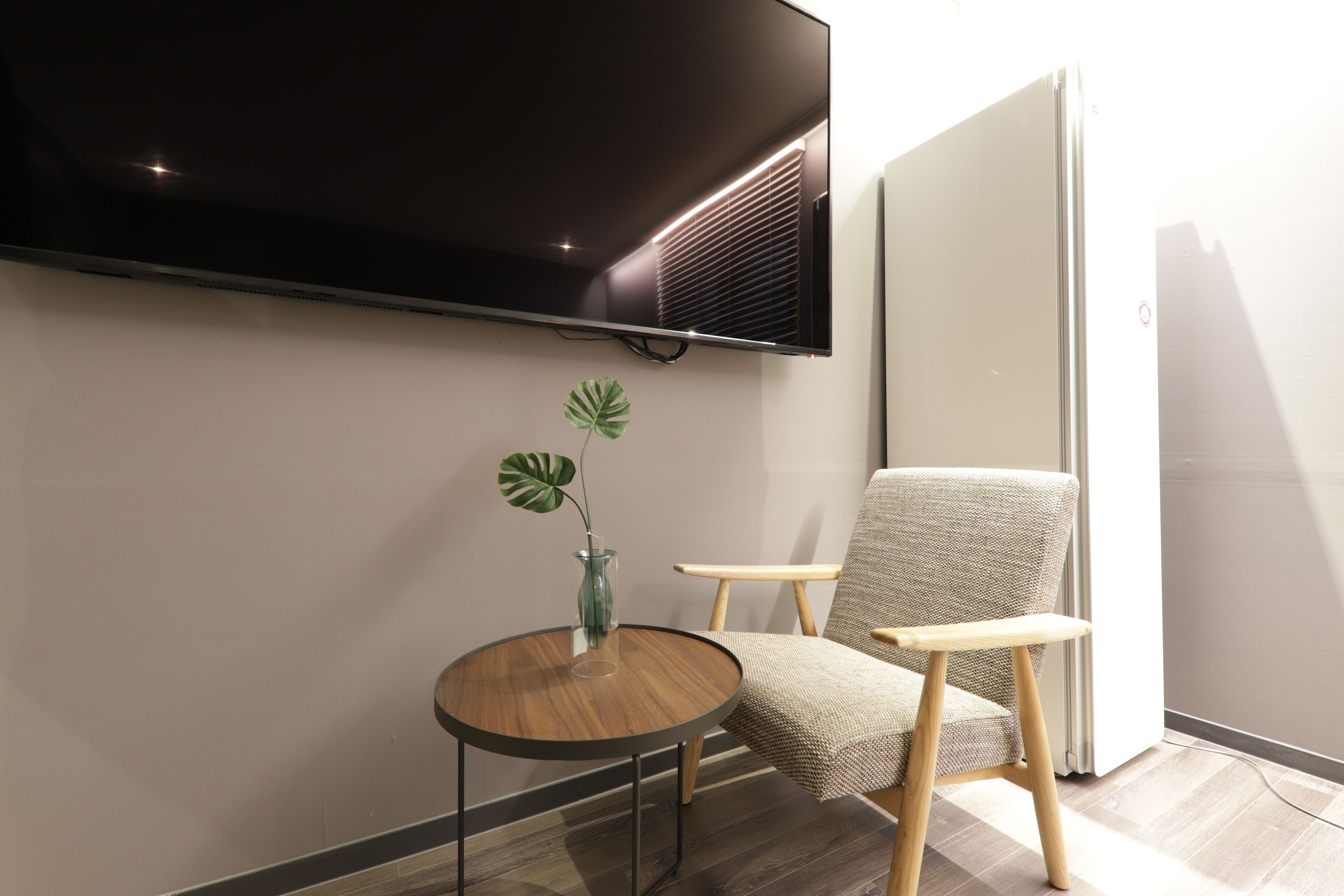 movie room | room amenity