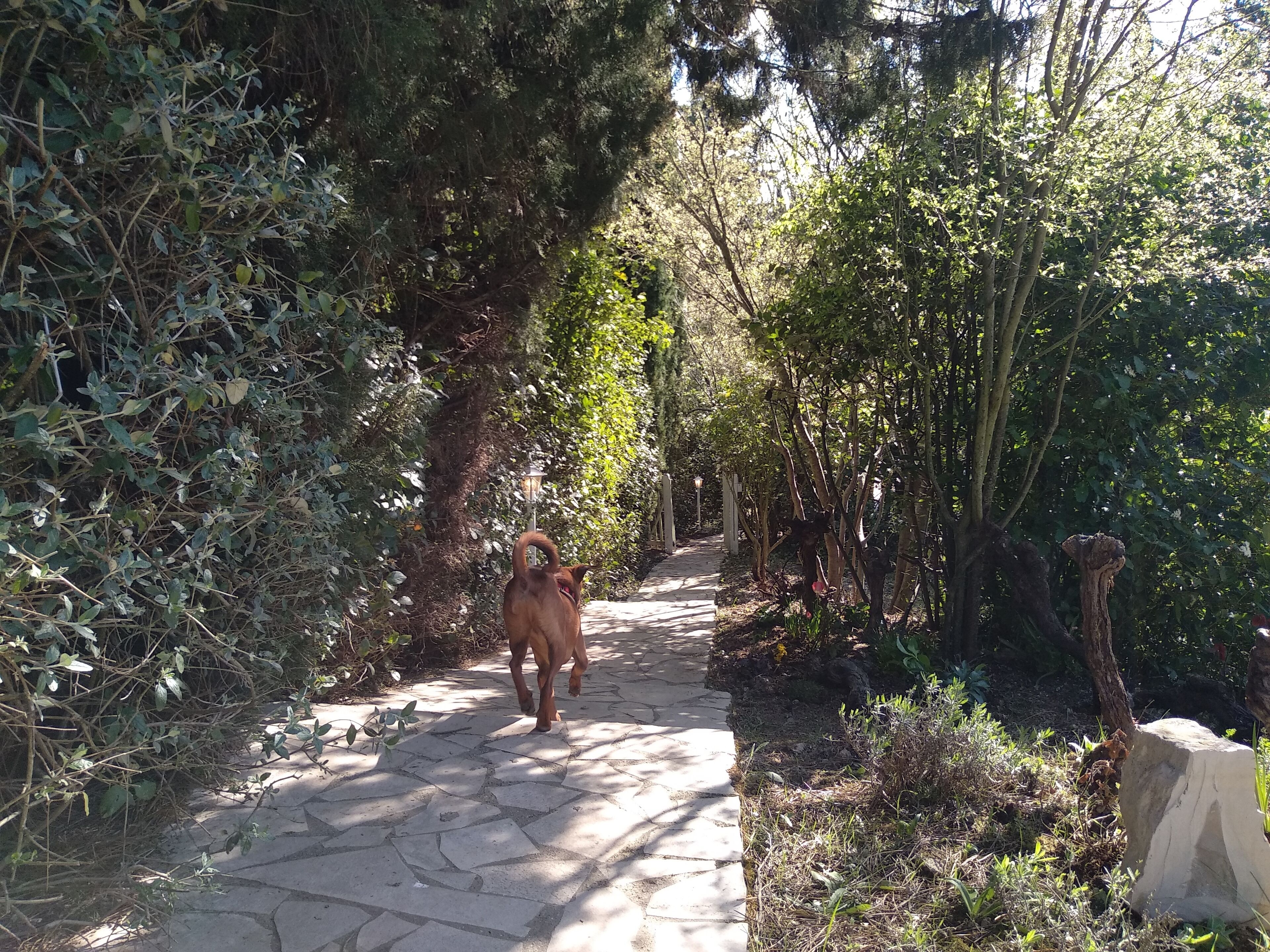 Parco della struttura