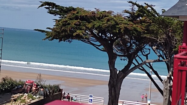 Une vue côtière avec un arbre au premier plan, une plage et une structure rouge en arrière-plan.