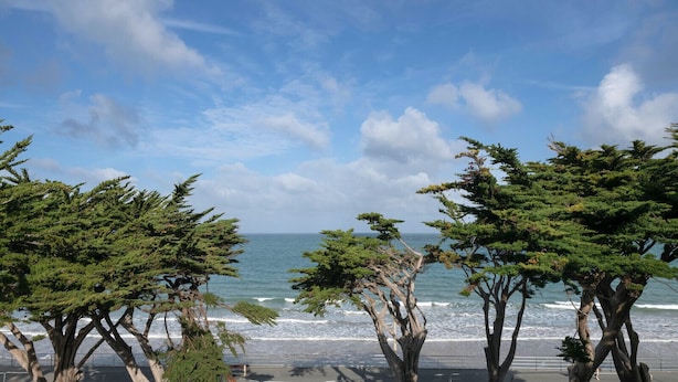A coastal view with trees in the foreground and the ocean in the background. - 50m from the beach, seaview flat for 2 (Pléneuf-Val-André)