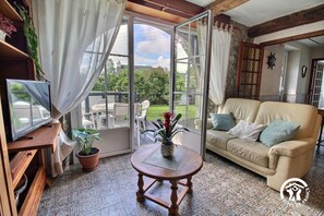 TV, fireplace, DVD player, books