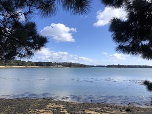 A calm lake with a sandy shore, surrounded by trees and a clear sky.