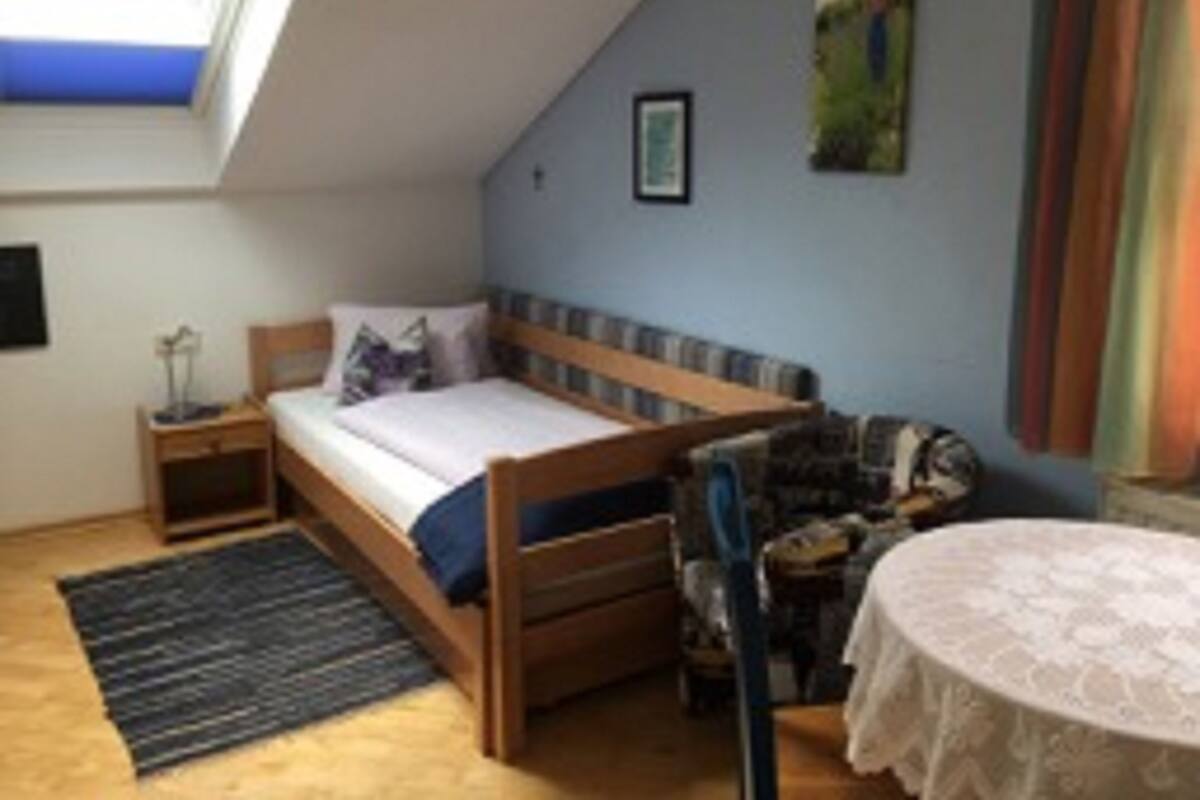 Single Room | Living area | 20-inch flat-screen TV with satellite channels, TV