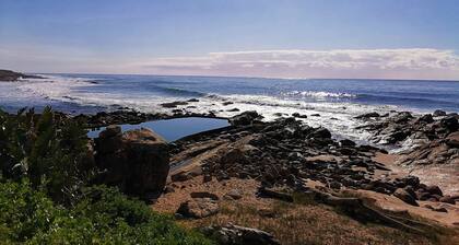 Boathouse Bed and Biscuit - Cabin