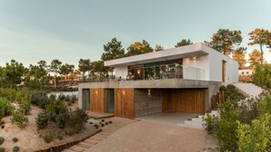 A modern two-story house with a flat roof, large windows, and a balcony.
