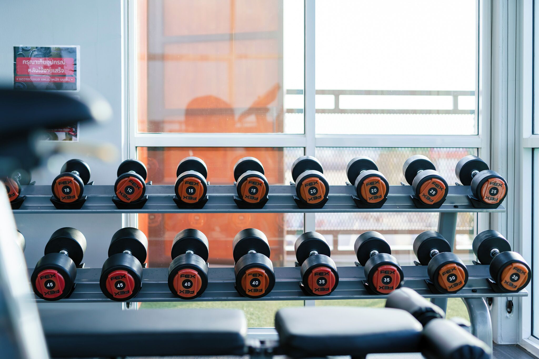 Una rastrelliera con manubri in una palestra, con una finestra sullo sfondo.