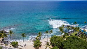 A coastal view with a beach, palm trees, and ocean waves.