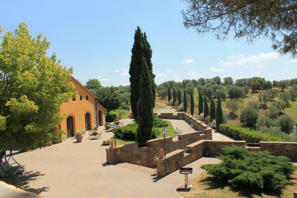 テラス / パティオ