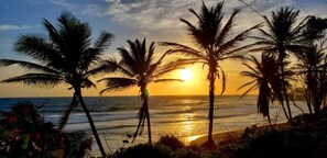 Tramonto con palme e l'oceano.