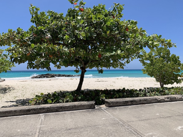 Beach nearby, sun-loungers, beach towels - Modern, high standard, 100 metres to beach, short walk to Oistins (Oistins)
