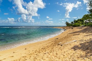 A beach with clear turquoise water, a sandy shore, and a few trees. - Camp Alealea 2 3 Bedroom Home by RedAwning (Hanalei)