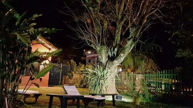 A nighttime outdoor area with a swimming pool, lounge chairs, and a large tree. - Beer Hotel Iguazu Hostel (Puerto Iguazú)