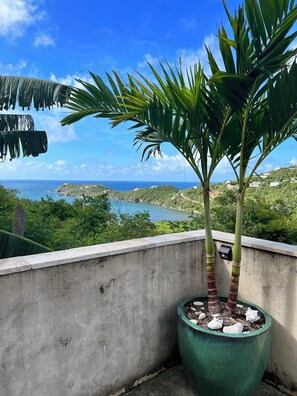 Property grounds - Villa HERMOSA a BEAUTIFUL St. John Villa - Pool - Ocean and Mountain Views (St John)