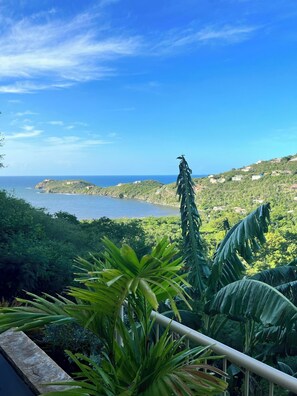 Property grounds - Villa HERMOSA a BEAUTIFUL St. John Villa - Pool - Ocean and Mountain Views (St John)