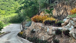 A winding road with a concrete edge, surrounded by lush greenery and a rocky hillside. - Villa HERMOSA a BEAUTIFUL St. John Villa - Pool - Ocean and Mountain Views (St John)