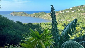 A lush green landscape with a view of the ocean and a statue in the foreground. - Villa HERMOSA a BEAUTIFUL St. John Villa - Pool - Ocean and Mountain Views (St John)
