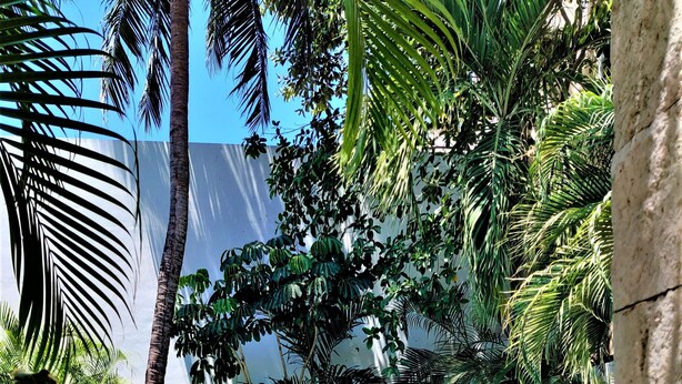 A rectangular swimming pool with a concrete edge, surrounded by lush green grass and various tropical plants, including palm trees. - Hotel Mariachi by Kavia 5th Av (Playa del Carmen)