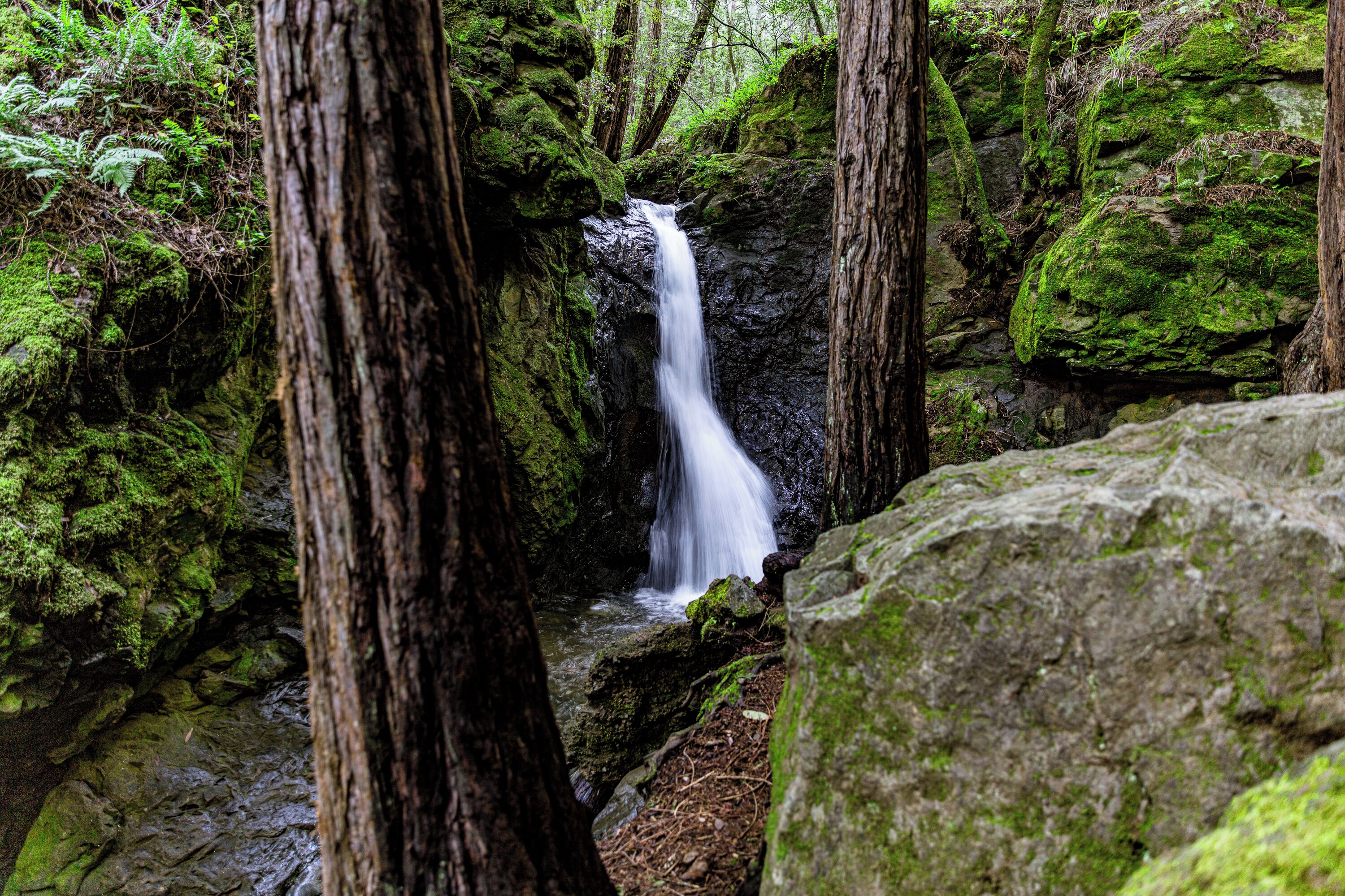 A waterfall surrounded by moss-covered rocks and trees.