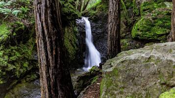 A waterfall surrounded by moss-covered rocks and trees.