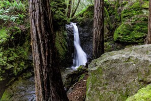 A waterfall surrounded by moss-covered rocks and trees. - Enchanted Waterfall Sanctuary (Mill Valley)