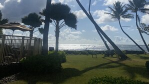 A view of palm trees and a beach with a fence in the foreground. - Beach Front, Pool, Amazing Sunrise! Welcome to Oceanside Retreat At Kapaa, Kauai (Kapaʻa)