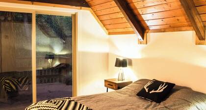 Classic A-frame - Sleek Modern Interior
