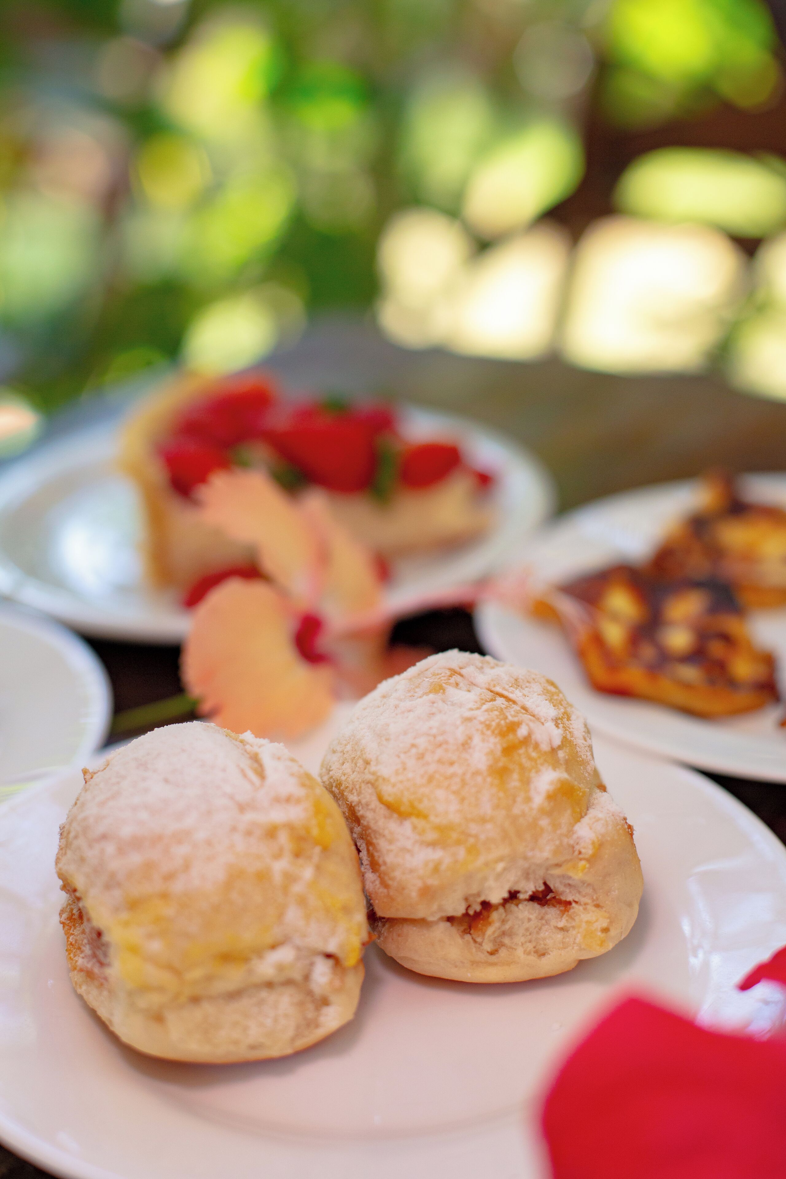 Photo - Pousada Beach Garden