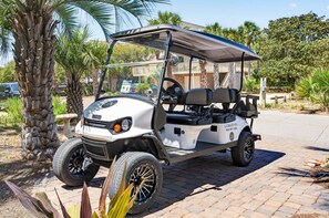 Property grounds - PoppyLu - Secluded Beachfront Home in Blue Mountain Beach with Private Pool & Golf Cart (Santa Rosa Beach)