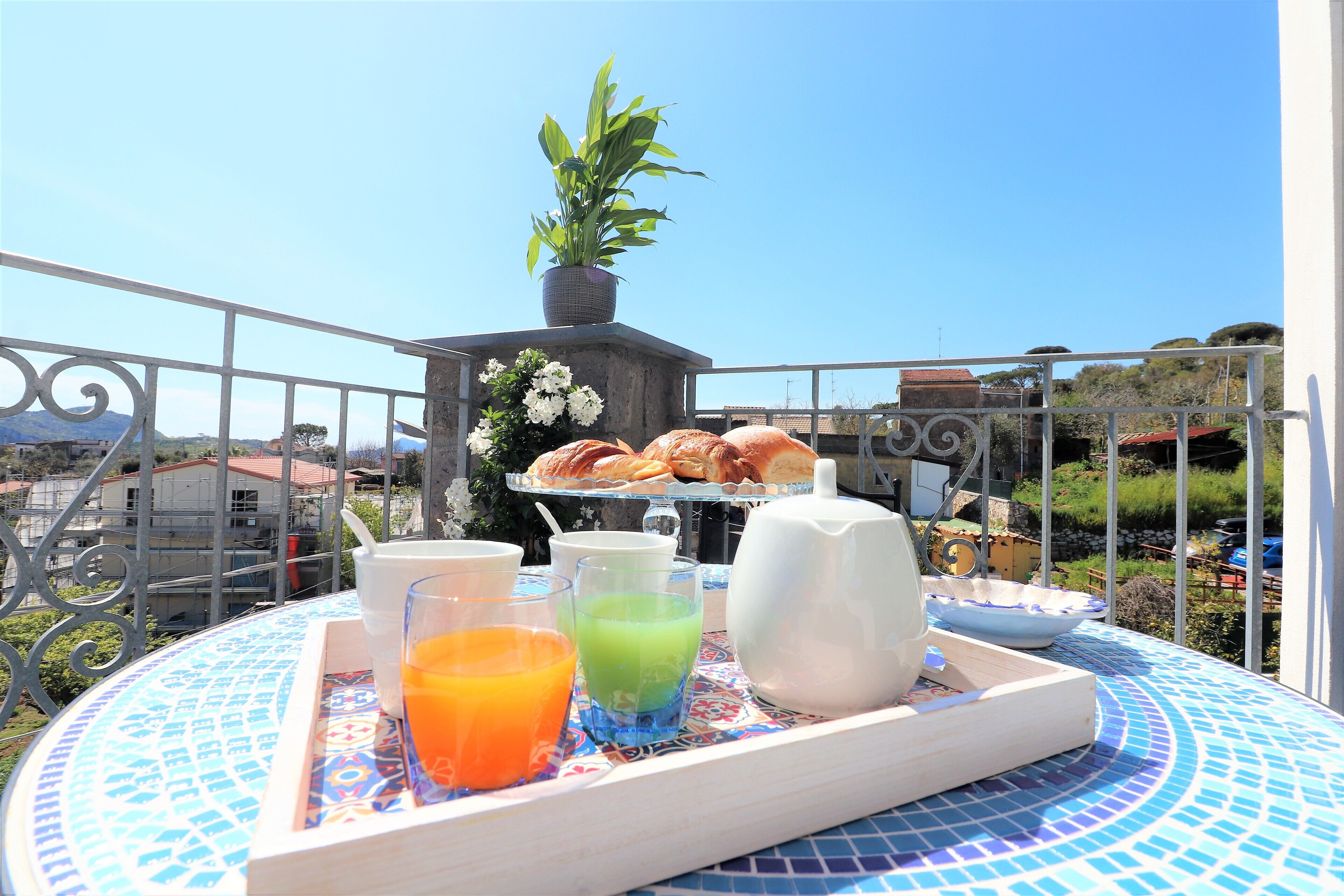 高級公寓 | 露台/庭院