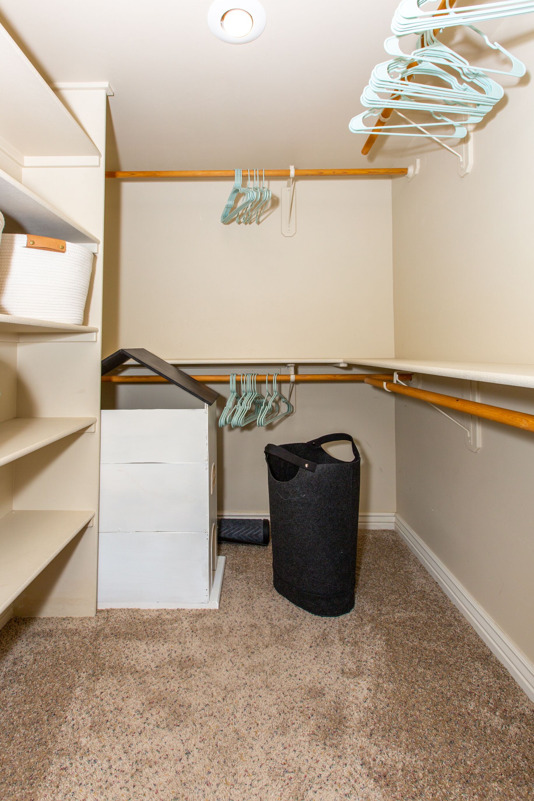 A walk-in closet with shelves, a hanging rod, and a storage bin.