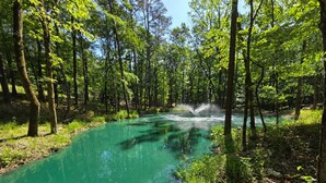 A forested area with a clear water body, surrounded by trees and greenery. - Lux Cabin Private Pond Cust Playset 1 Mile to Lake Cvrd Deck+Entmt Amenities (Broken Bow)