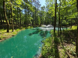 A forested area with a clear water body, surrounded by trees and greenery. - Lux Cabin Private Pond Cust Playset 1 Mile to Lake Cvrd Deck+Entmt Amenities (Broken Bow)