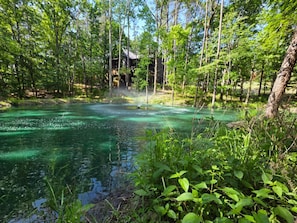 A forested area with a clear water body and a building in the background.