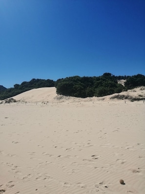 Nära stranden
