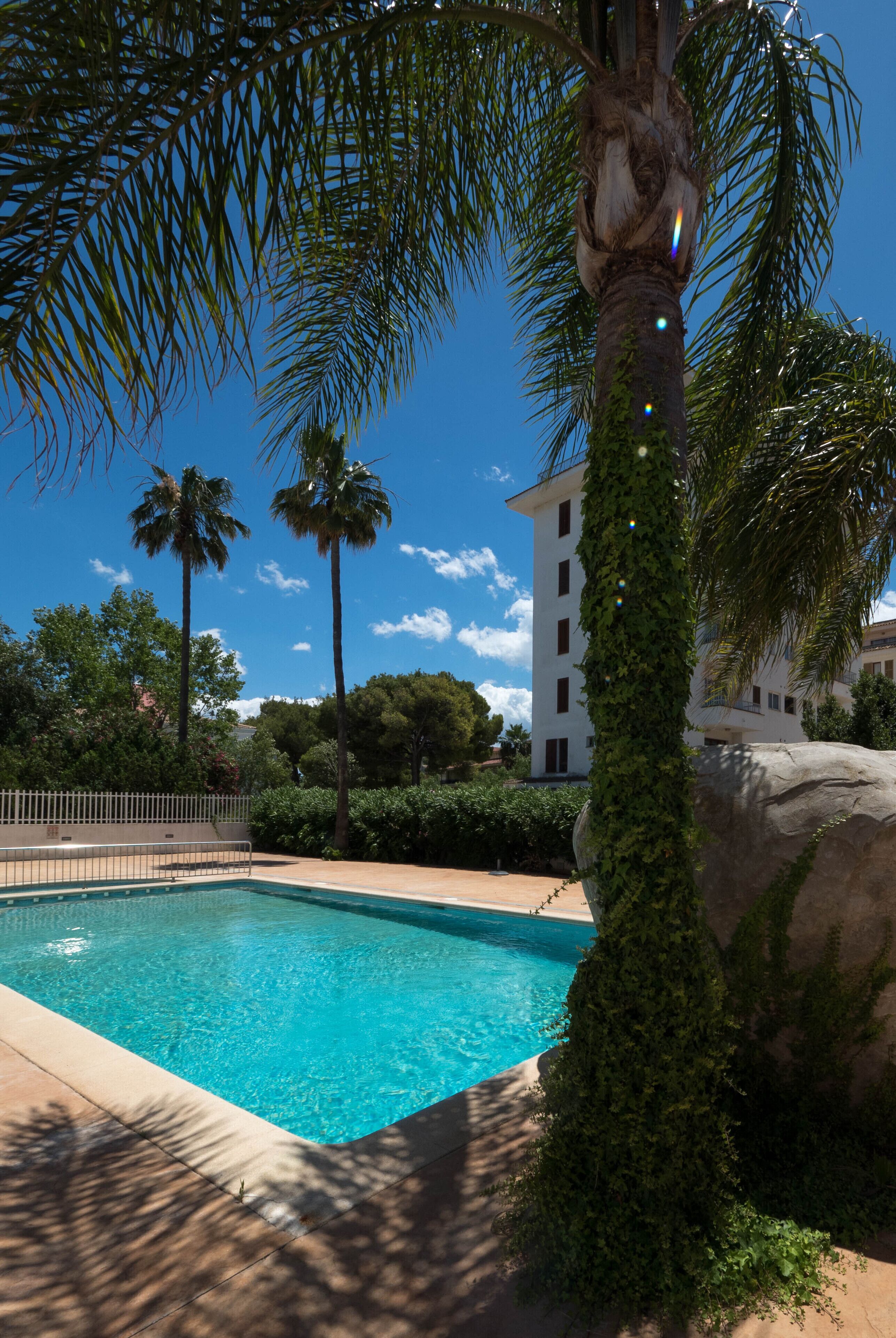 A swimming pool surrounded by palm trees and a building.