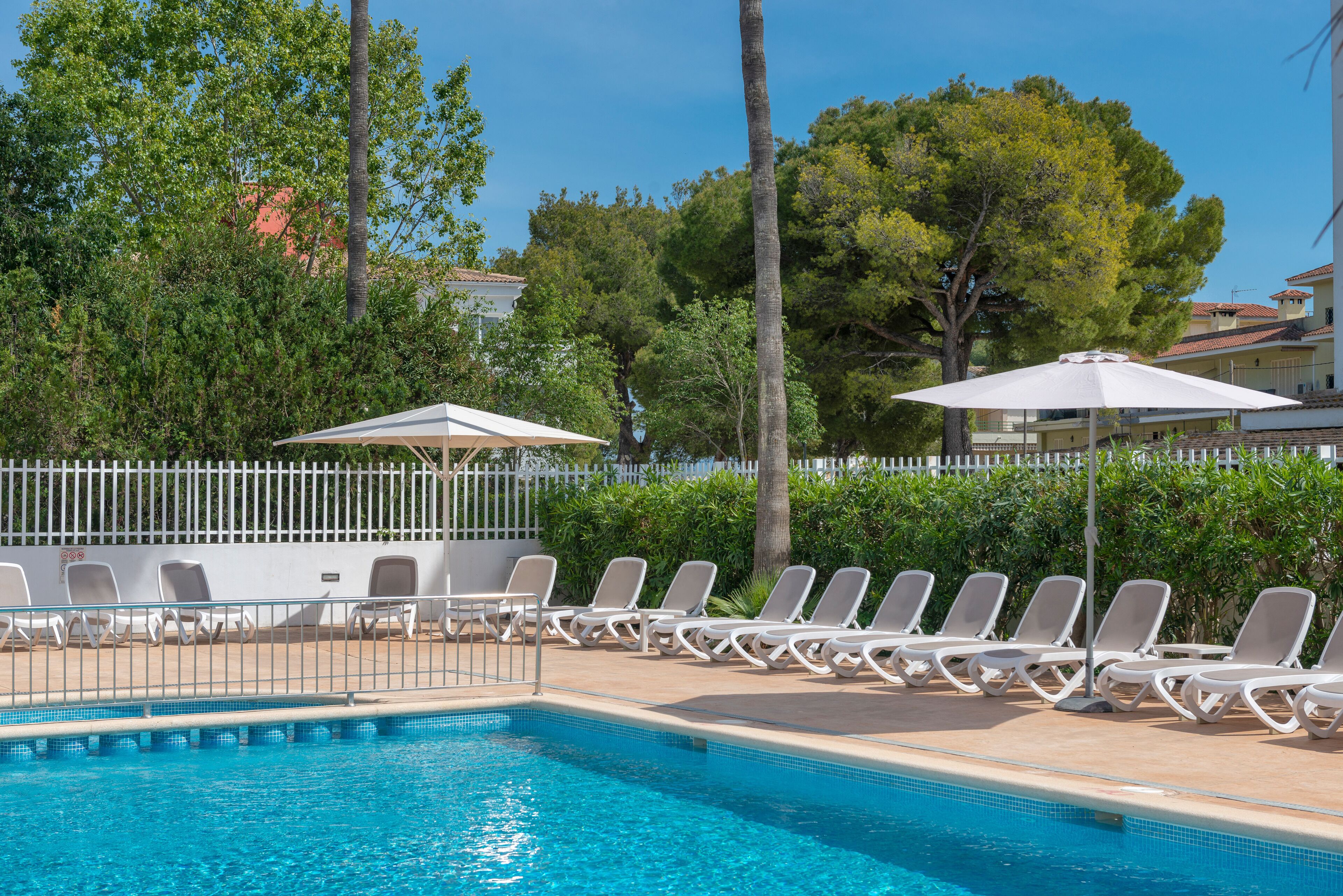 Una piscina con lettini e ombrelloni, circondata da alberi e un recinto bianco.
