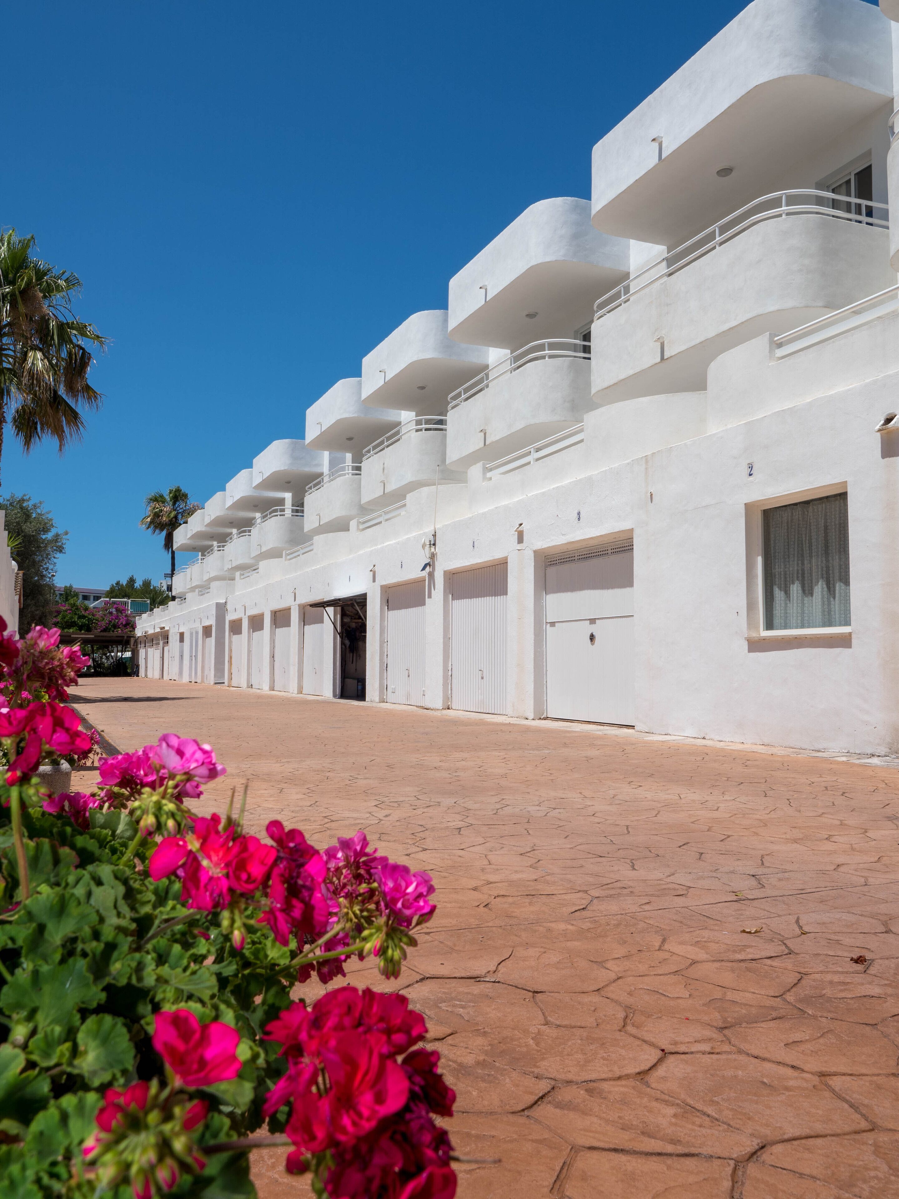 Foto - Olive Beach Apartamentos