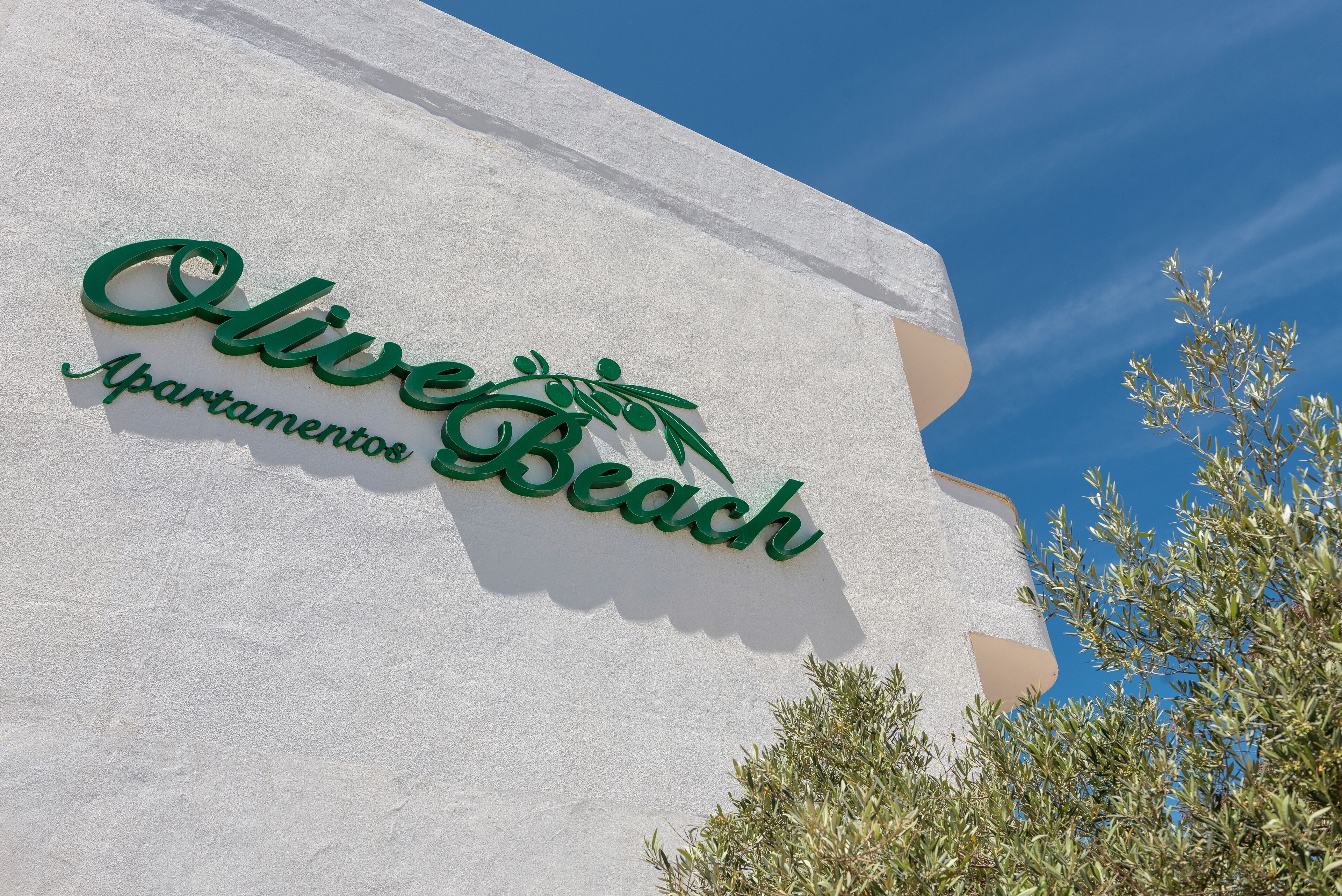 Foto - Olive Beach Apartamentos