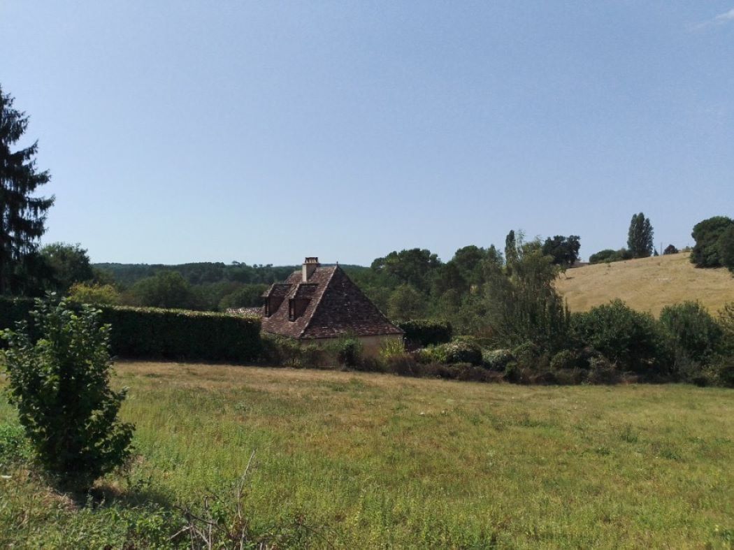 A rural house with a sloped roof, surrounded by a grassy field and dense vegetation.